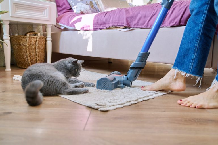 cleaning-house-with-vacuum-cleaner-female