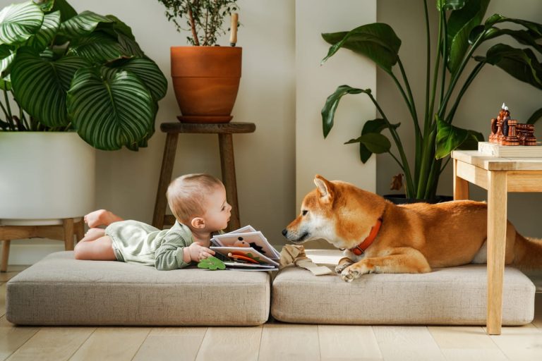 reading-book-baby-and-dog-are-lying-on-floor-pill